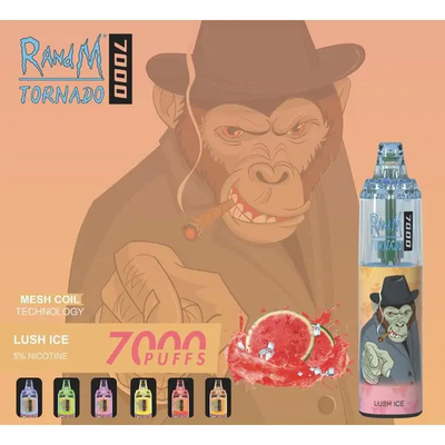 Изготовленные на заказ слойки 45 вапоризатора 7000 14ML RADNM устранимые Vape приправляют сигареты e