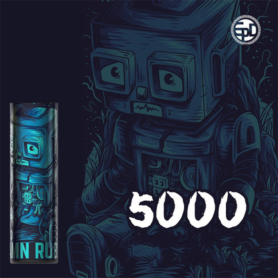 Новое vape энергии Epod прибытия 2022 пишет сигарету 12 слоек соли 5000 никотина вкусов 5% устранимую электронную